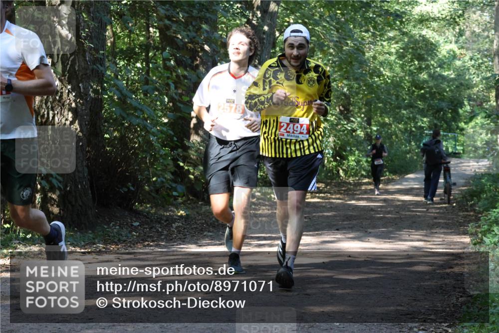 28.09.2025 - 33. Volkslauf durch das schöne Alstertal Strokosch-Dieckow http://msf.ph/oto/8971071 28.09.2025 12:06:20 Laufen 2578, 2494 meine-sportfotos.de
