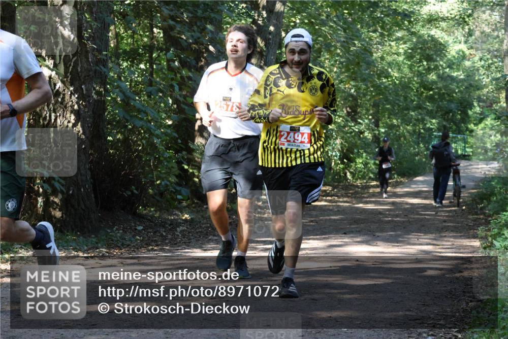 28.09.2025 - 33. Volkslauf durch das schöne Alstertal Strokosch-Dieckow http://msf.ph/oto/8971072 28.09.2025 12:06:20 Laufen 2578, 2494 meine-sportfotos.de