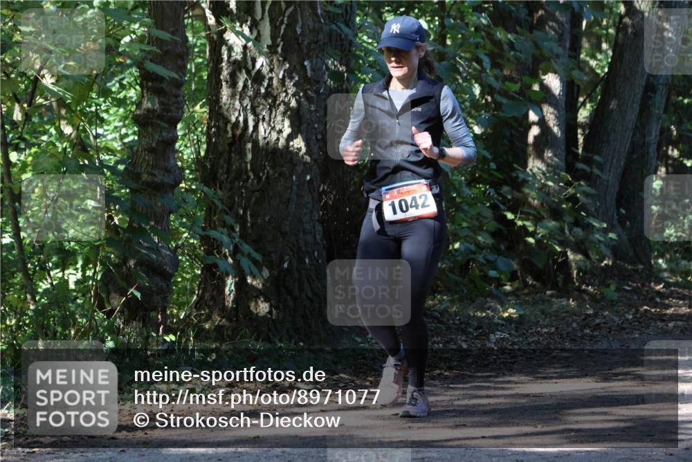 28.09.2025 - 33. Volkslauf durch das schöne Alstertal Strokosch-Dieckow http://msf.ph/oto/8971077 28.09.2025 12:06:31 Laufen 1042 meine-sportfotos.de