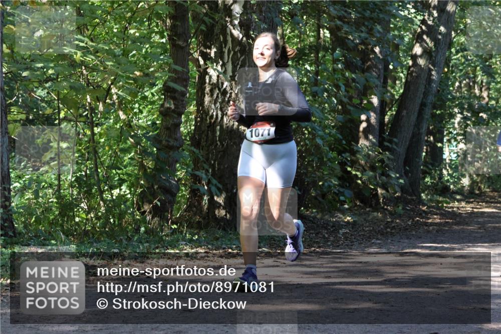28.09.2025 - 33. Volkslauf durch das schöne Alstertal Strokosch-Dieckow http://msf.ph/oto/8971081 28.09.2025 12:06:48 Laufen 1071 meine-sportfotos.de