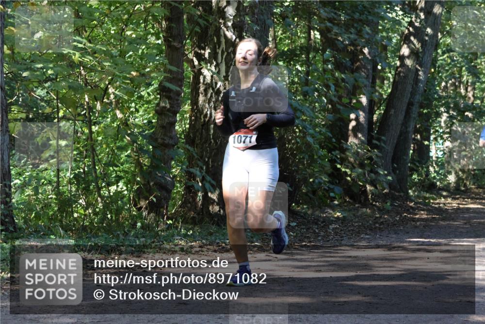 28.09.2025 - 33. Volkslauf durch das schöne Alstertal Strokosch-Dieckow http://msf.ph/oto/8971082 28.09.2025 12:06:48 Laufen 1071 meine-sportfotos.de