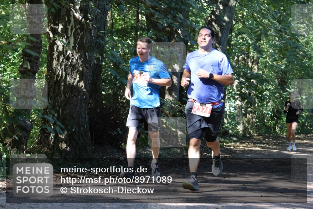 28.09.2025 - 33. Volkslauf durch das schöne Alstertal Strokosch-Dieckow http://msf.ph/oto/8971089 28.09.2025 12:06:56 Laufen 2371 meine-sportfotos.de