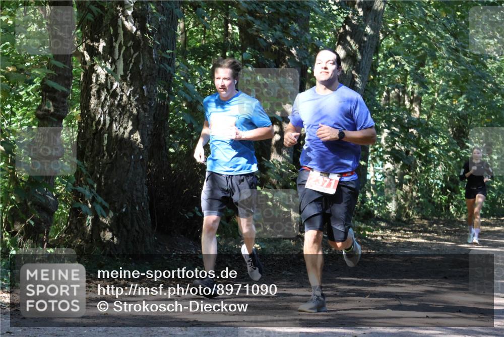 28.09.2025 - 33. Volkslauf durch das schöne Alstertal Strokosch-Dieckow http://msf.ph/oto/8971090 28.09.2025 12:06:56 Laufen 2371 meine-sportfotos.de