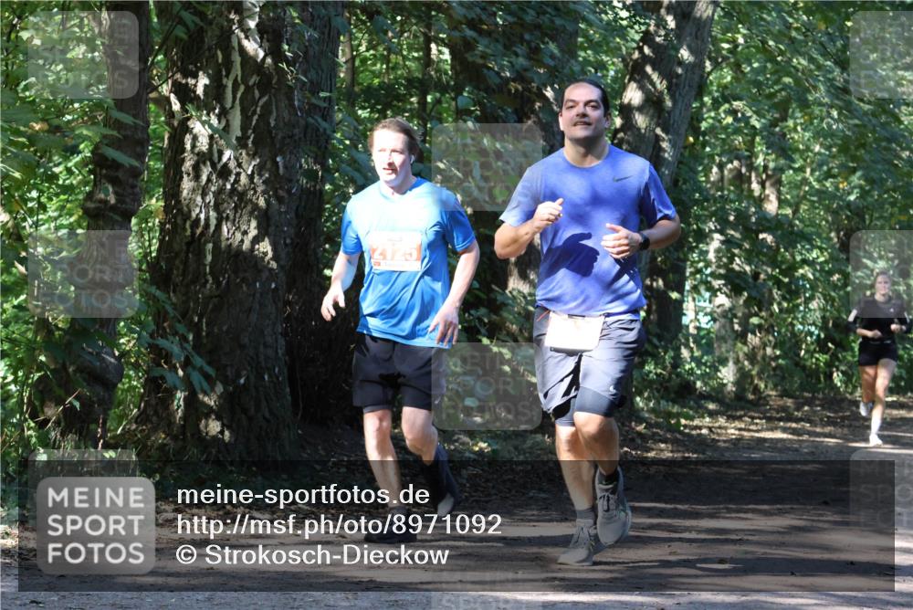 28.09.2025 - 33. Volkslauf durch das schöne Alstertal Strokosch-Dieckow http://msf.ph/oto/8971092 28.09.2025 12:06:56 Laufen 2125 meine-sportfotos.de
