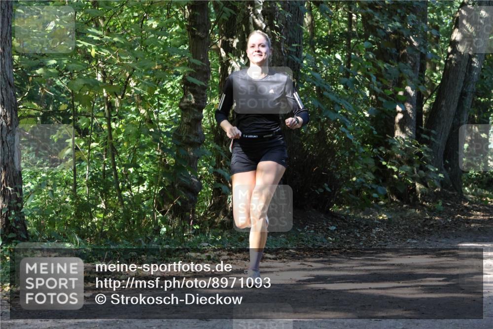 28.09.2025 - 33. Volkslauf durch das schöne Alstertal Strokosch-Dieckow http://msf.ph/oto/8971093 28.09.2025 12:07:02 Laufen 1 meine-sportfotos.de
