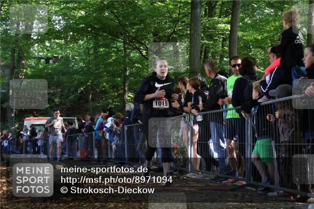 28.09.2025 - 33. Volkslauf durch das schöne Alstertal Strokosch-Dieckow http://msf.ph/oto/8971094 28.09.2025 11:52:57 Ziel 1015, 1620, 1648 meine-sportfotos.de