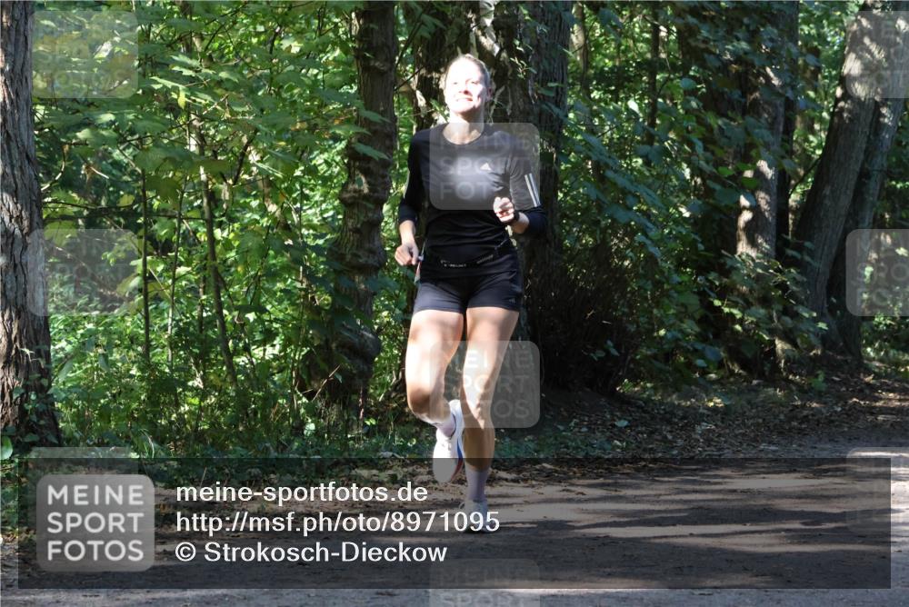 28.09.2025 - 33. Volkslauf durch das schöne Alstertal Strokosch-Dieckow http://msf.ph/oto/8971095 28.09.2025 12:07:03 Laufen  meine-sportfotos.de