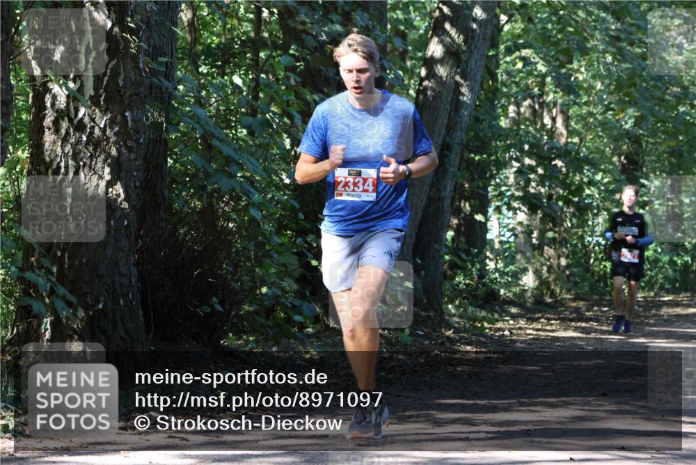 28.09.2025 - 33. Volkslauf durch das schöne Alstertal Strokosch-Dieckow http://msf.ph/oto/8971097 28.09.2025 12:07:04 Laufen 2334 meine-sportfotos.de