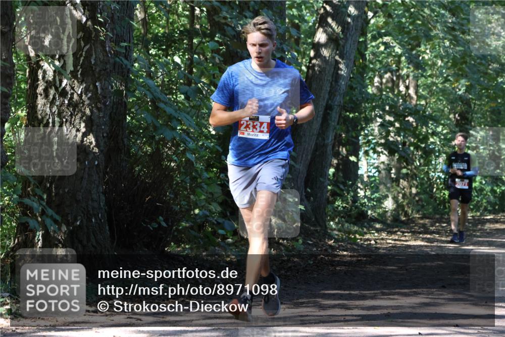 28.09.2025 - 33. Volkslauf durch das schöne Alstertal Strokosch-Dieckow http://msf.ph/oto/8971098 28.09.2025 12:07:04 Laufen 2334 meine-sportfotos.de