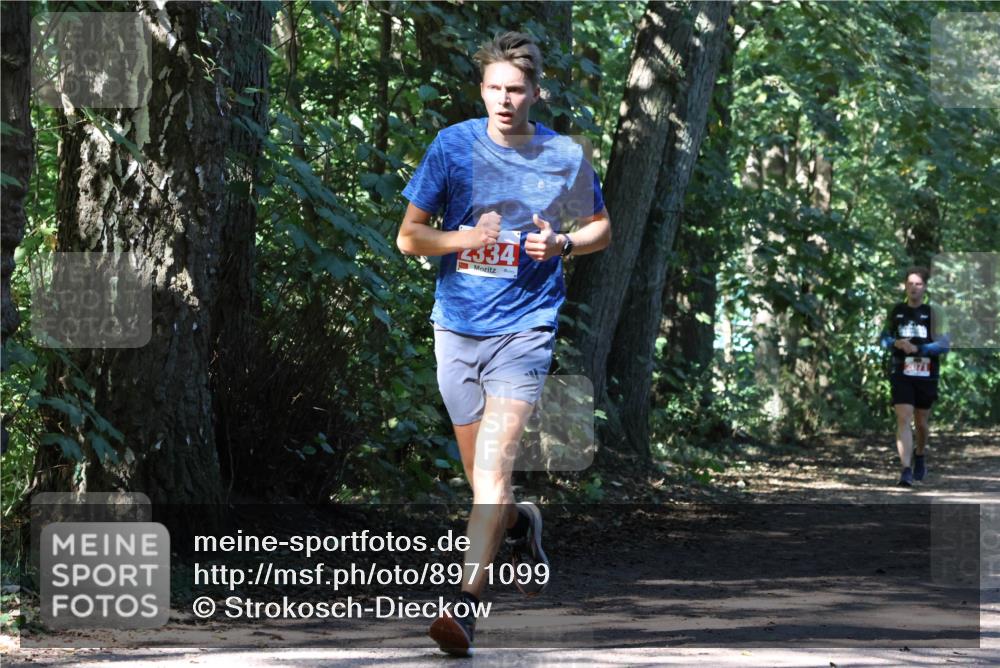 28.09.2025 - 33. Volkslauf durch das schöne Alstertal Strokosch-Dieckow http://msf.ph/oto/8971099 28.09.2025 12:07:04 Laufen 334, 2071 meine-sportfotos.de