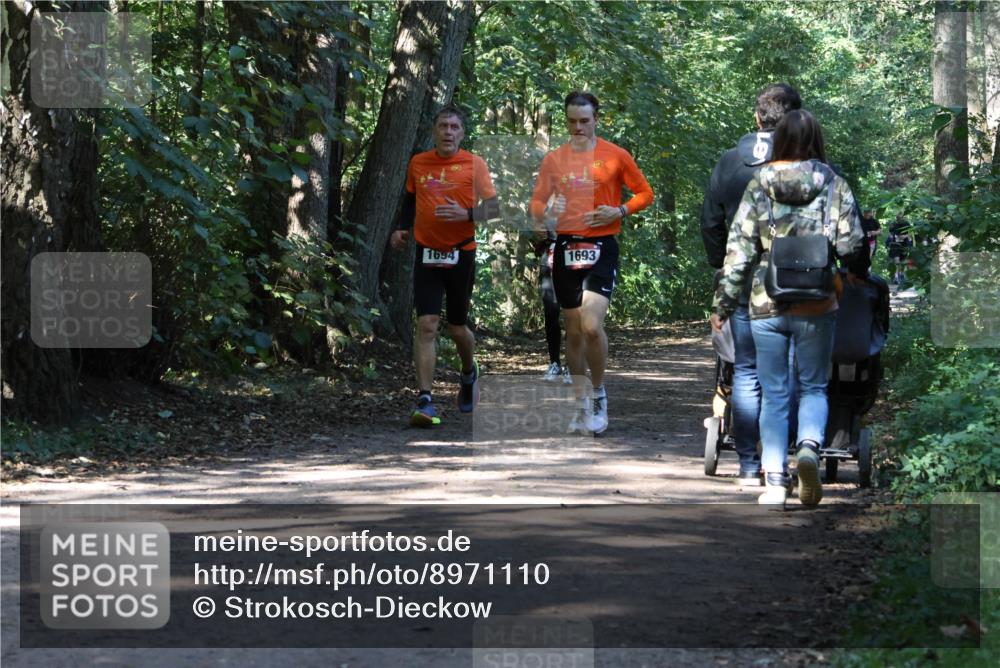 28.09.2025 - 33. Volkslauf durch das schöne Alstertal Strokosch-Dieckow http://msf.ph/oto/8971110 28.09.2025 12:07:31 Laufen 1694, 1693 meine-sportfotos.de