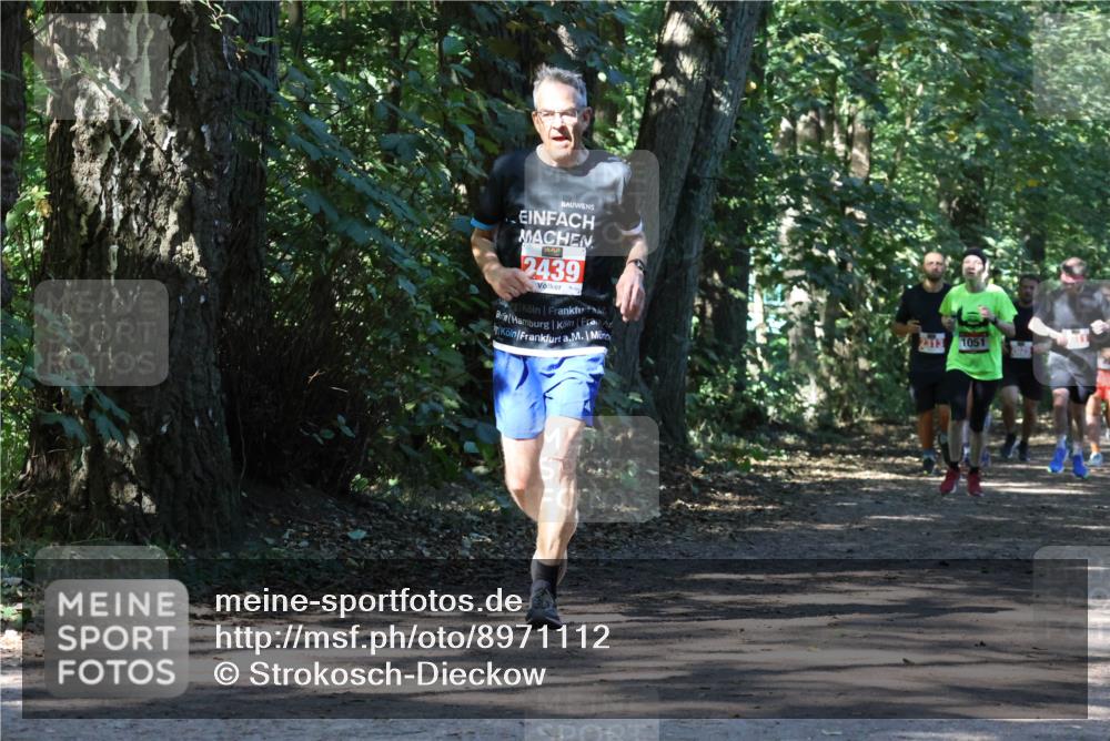 28.09.2025 - 33. Volkslauf durch das schöne Alstertal Strokosch-Dieckow http://msf.ph/oto/8971112 28.09.2025 12:07:44 Laufen 2439, 2313, 1051 meine-sportfotos.de