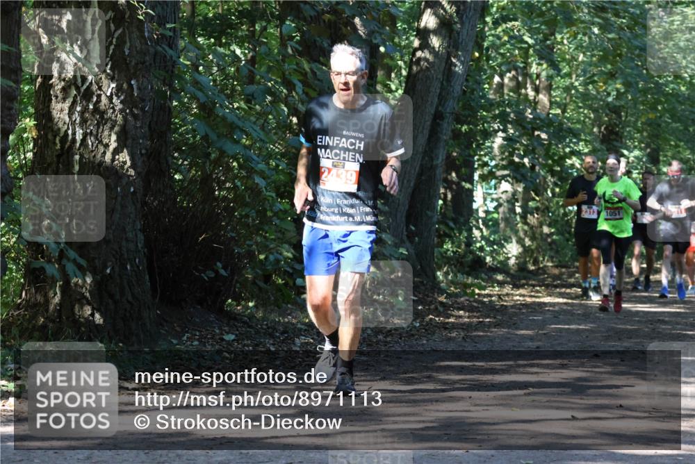 28.09.2025 - 33. Volkslauf durch das schöne Alstertal Strokosch-Dieckow http://msf.ph/oto/8971113 28.09.2025 12:07:45 Laufen 2439, 1051 meine-sportfotos.de