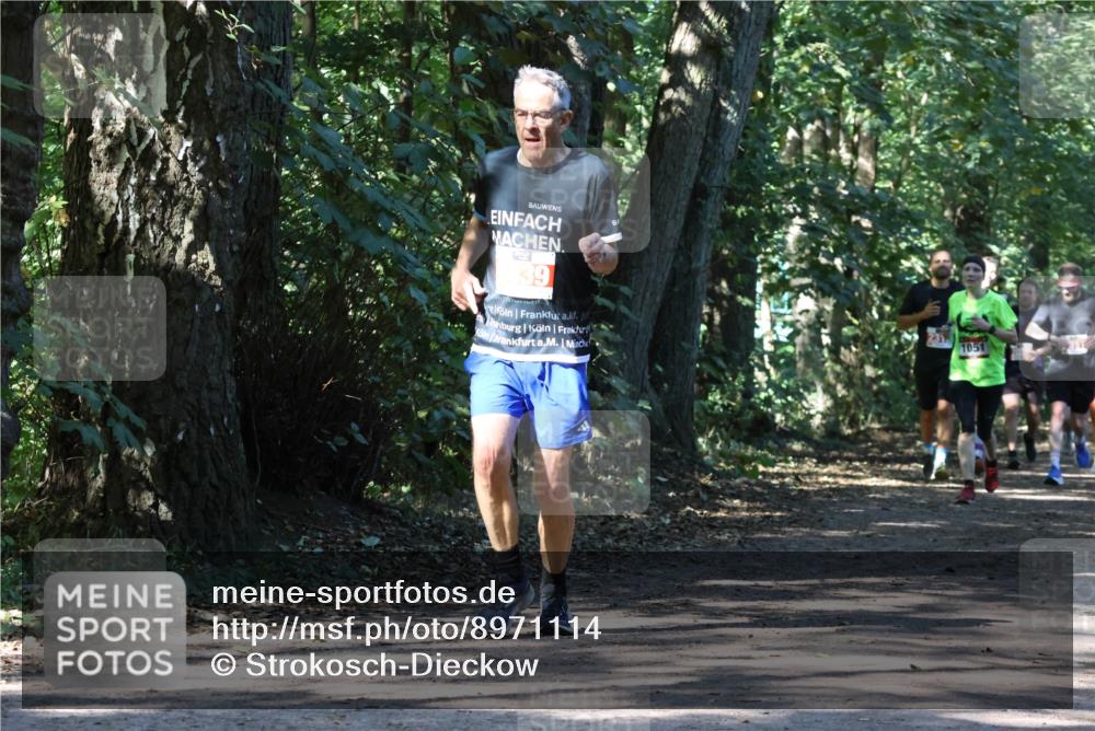 28.09.2025 - 33. Volkslauf durch das schöne Alstertal Strokosch-Dieckow http://msf.ph/oto/8971114 28.09.2025 12:07:45 Laufen 39, 1051 meine-sportfotos.de
