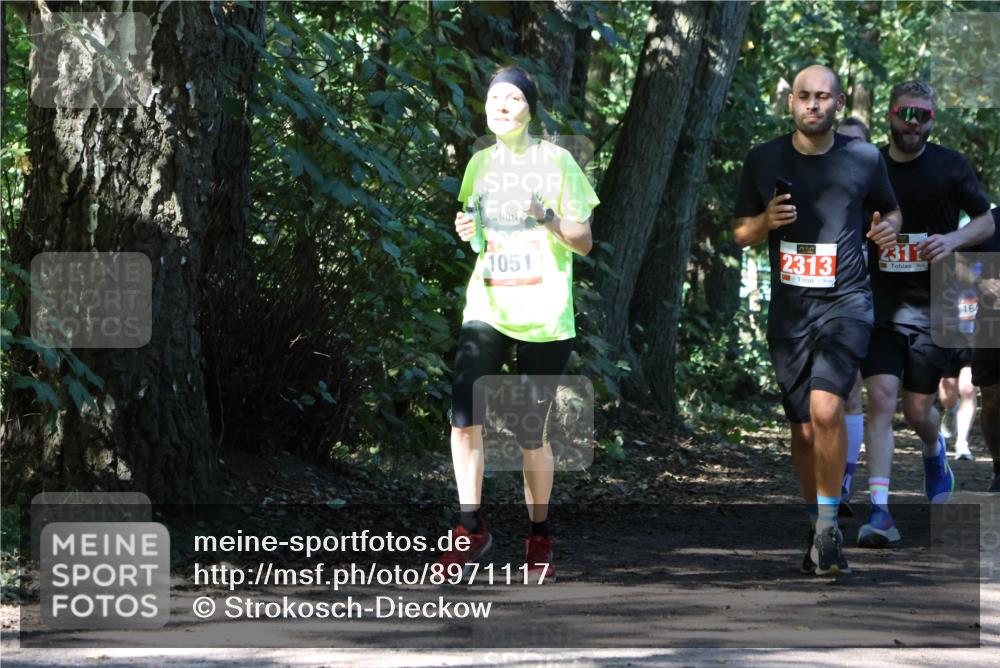 28.09.2025 - 33. Volkslauf durch das schöne Alstertal Strokosch-Dieckow http://msf.ph/oto/8971117 28.09.2025 12:07:50 Laufen 1051, 2313, 231, 164 meine-sportfotos.de