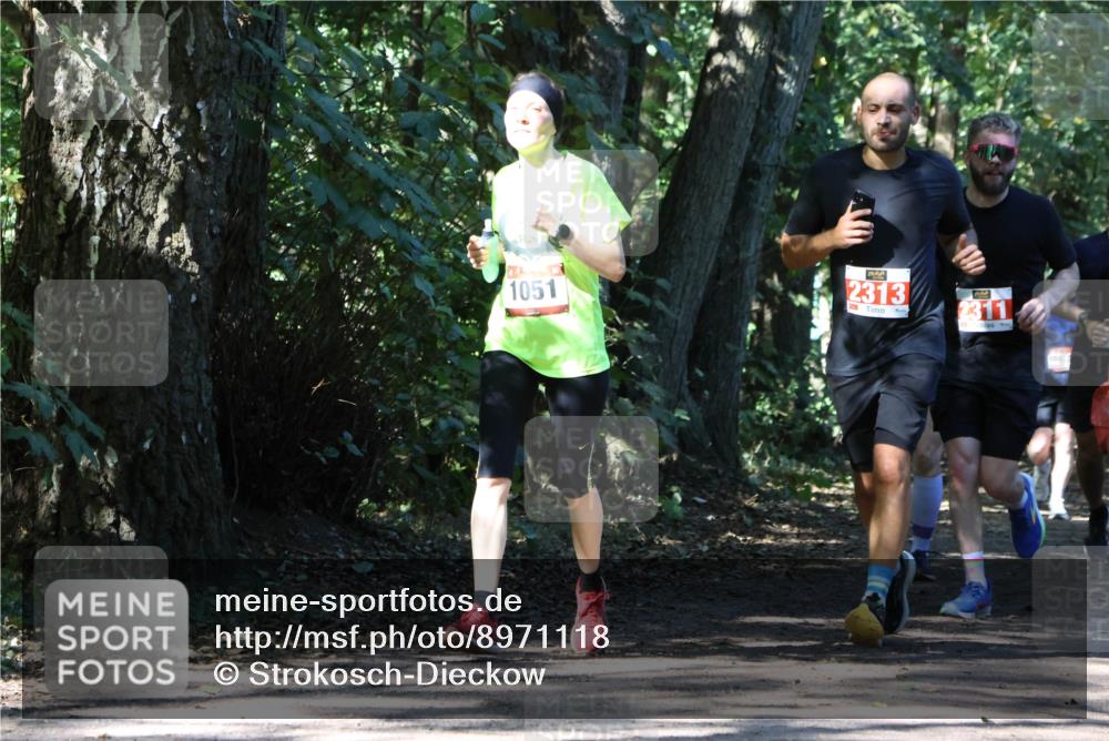28.09.2025 - 33. Volkslauf durch das schöne Alstertal Strokosch-Dieckow http://msf.ph/oto/8971118 28.09.2025 12:07:50 Laufen 1051, 2313, 2311 meine-sportfotos.de