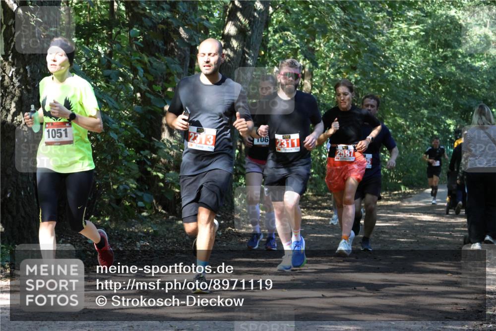 28.09.2025 - 33. Volkslauf durch das schöne Alstertal Strokosch-Dieckow http://msf.ph/oto/8971119 28.09.2025 12:07:51 Laufen 1051, 2313, 106, 2311, 2587 meine-sportfotos.de
