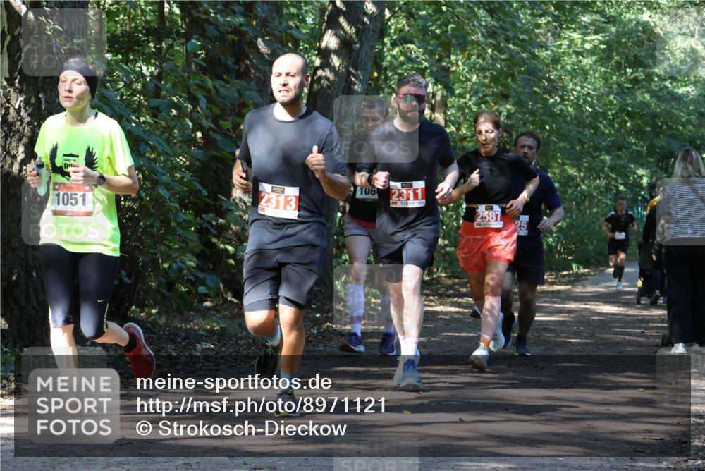 28.09.2025 - 33. Volkslauf durch das schöne Alstertal Strokosch-Dieckow http://msf.ph/oto/8971121 28.09.2025 12:07:51 Laufen 1051, 2313, 106, 2311, 2587, 25 meine-sportfotos.de