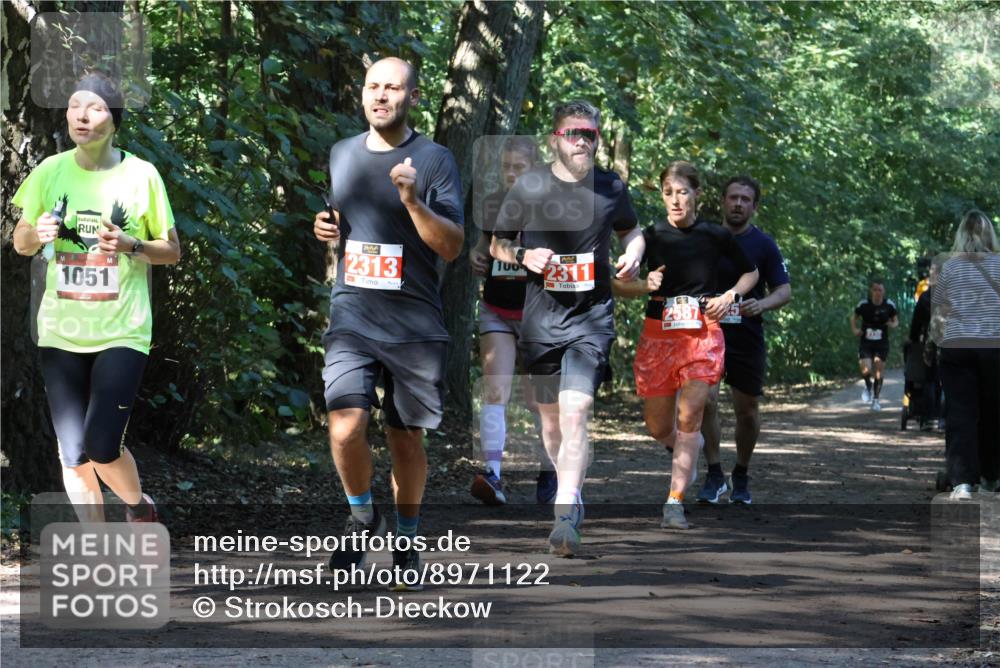 28.09.2025 - 33. Volkslauf durch das schöne Alstertal Strokosch-Dieckow http://msf.ph/oto/8971122 28.09.2025 12:07:51 Laufen 1051, 2313, 100, 2311 meine-sportfotos.de