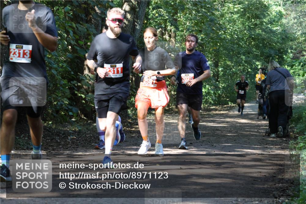28.09.2025 - 33. Volkslauf durch das schöne Alstertal Strokosch-Dieckow http://msf.ph/oto/8971123 28.09.2025 12:07:52 Laufen 2313, 2311, 2025 meine-sportfotos.de