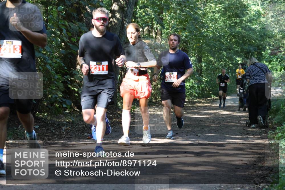 28.09.2025 - 33. Volkslauf durch das schöne Alstertal Strokosch-Dieckow http://msf.ph/oto/8971124 28.09.2025 12:07:52 Laufen 2313, 2013, 2311, 2025 meine-sportfotos.de