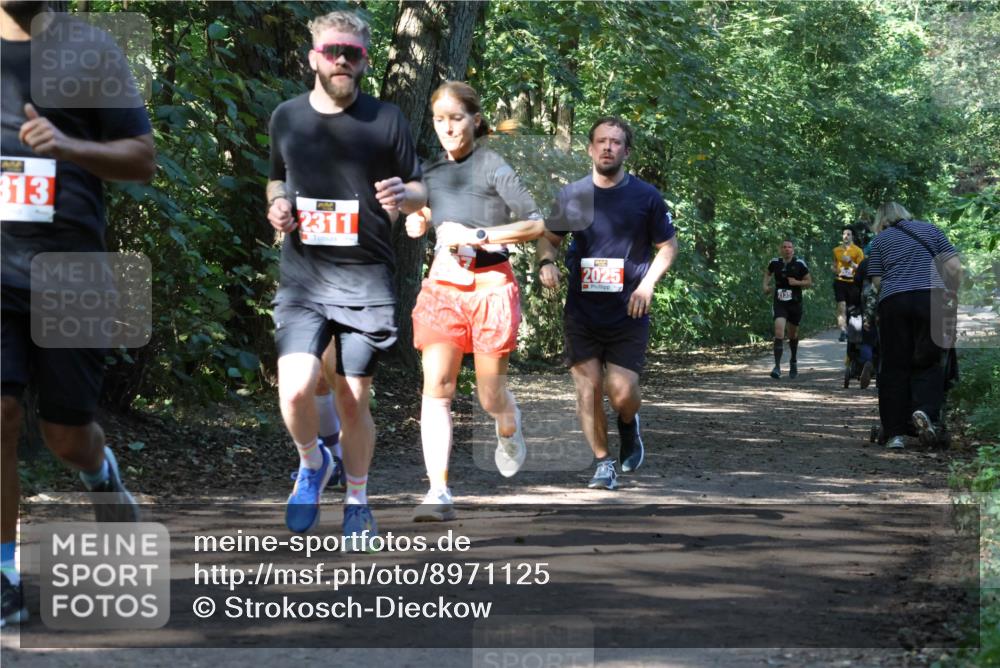 28.09.2025 - 33. Volkslauf durch das schöne Alstertal Strokosch-Dieckow http://msf.ph/oto/8971125 28.09.2025 12:07:52 Laufen 313, 2311, 2025, 2135 meine-sportfotos.de