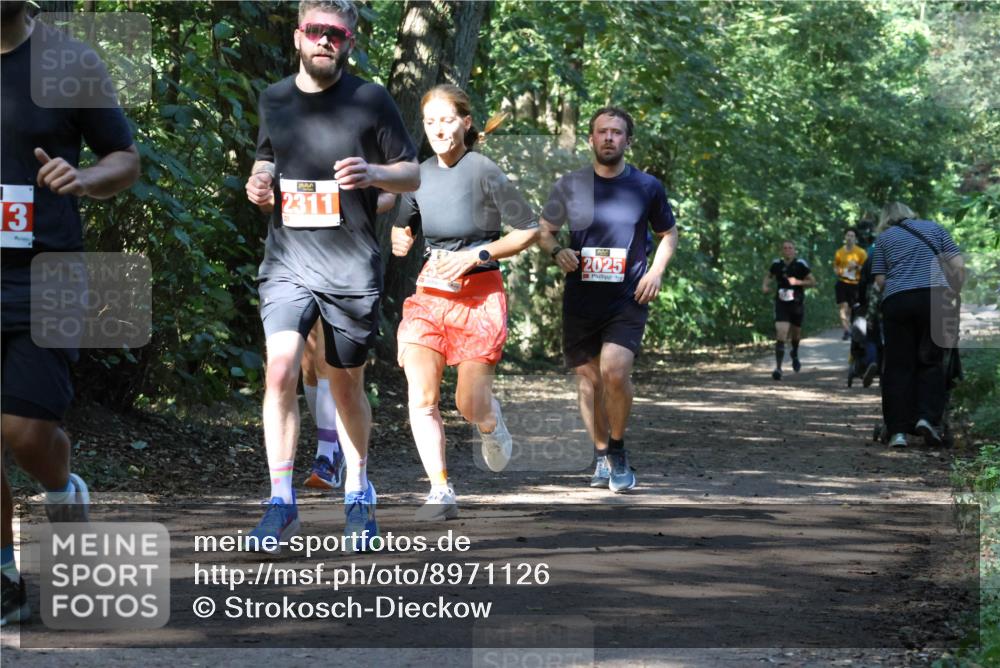 28.09.2025 - 33. Volkslauf durch das schöne Alstertal Strokosch-Dieckow http://msf.ph/oto/8971126 28.09.2025 12:07:52 Laufen 13, 2311, 2025 meine-sportfotos.de