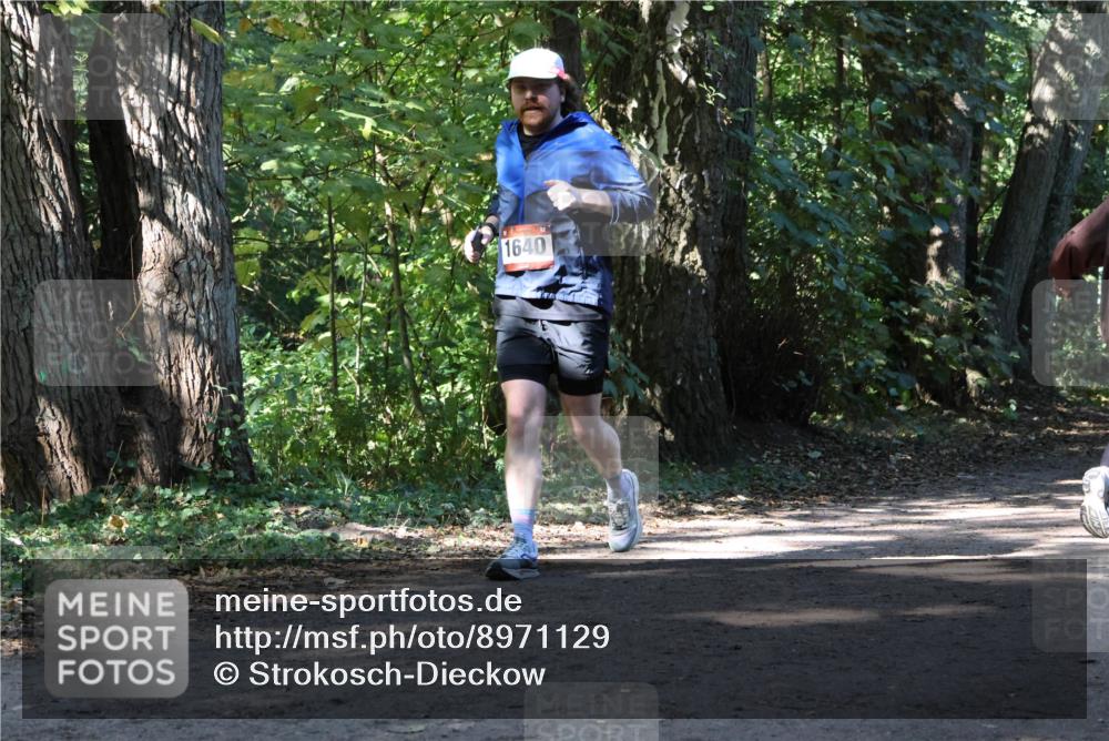 28.09.2025 - 33. Volkslauf durch das schöne Alstertal Strokosch-Dieckow http://msf.ph/oto/8971129 28.09.2025 12:07:59 Laufen 1640 meine-sportfotos.de