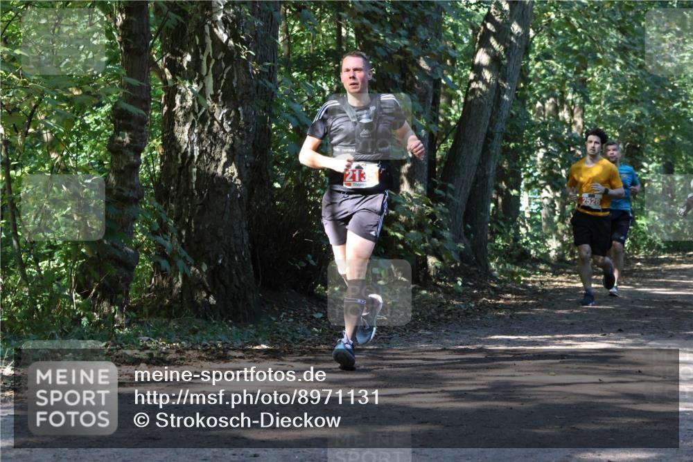28.09.2025 - 33. Volkslauf durch das schöne Alstertal Strokosch-Dieckow http://msf.ph/oto/8971131 28.09.2025 12:08:05 Laufen 213, 2528 meine-sportfotos.de