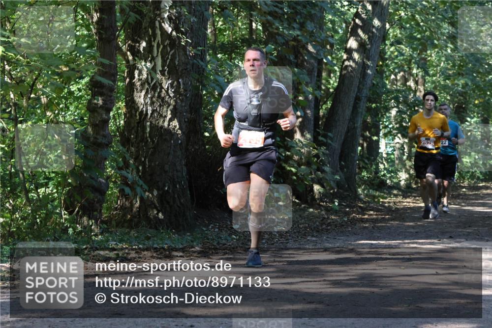 28.09.2025 - 33. Volkslauf durch das schöne Alstertal Strokosch-Dieckow http://msf.ph/oto/8971133 28.09.2025 12:08:05 Laufen 22 meine-sportfotos.de
