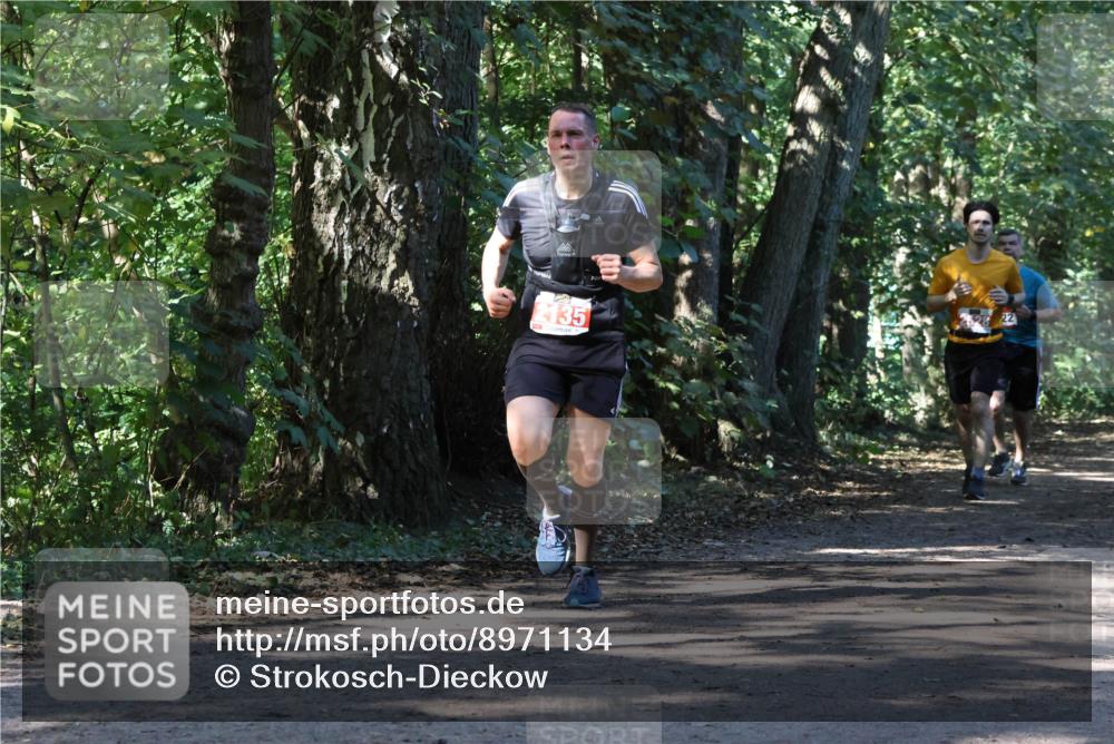 28.09.2025 - 33. Volkslauf durch das schöne Alstertal Strokosch-Dieckow http://msf.ph/oto/8971134 28.09.2025 12:08:05 Laufen 2135, 22 meine-sportfotos.de