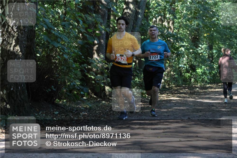 28.09.2025 - 33. Volkslauf durch das schöne Alstertal Strokosch-Dieckow http://msf.ph/oto/8971136 28.09.2025 12:08:07 Laufen 1722, 2528 meine-sportfotos.de