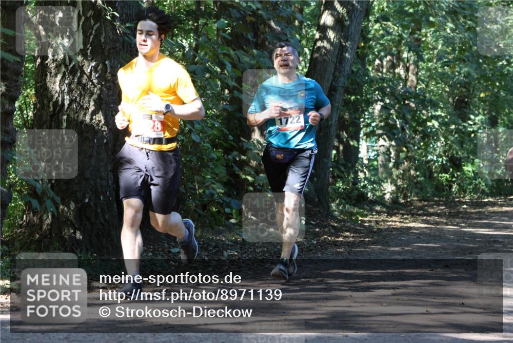 28.09.2025 - 33. Volkslauf durch das schöne Alstertal Strokosch-Dieckow http://msf.ph/oto/8971139 28.09.2025 12:08:08 Laufen 1722 meine-sportfotos.de