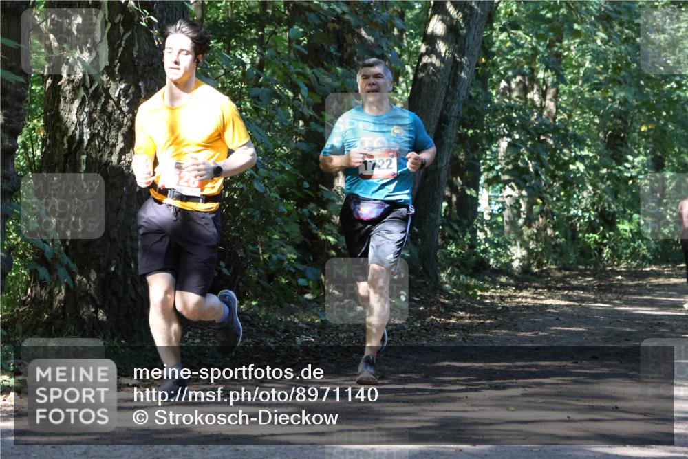28.09.2025 - 33. Volkslauf durch das schöne Alstertal Strokosch-Dieckow http://msf.ph/oto/8971140 28.09.2025 12:08:08 Laufen 1722 meine-sportfotos.de