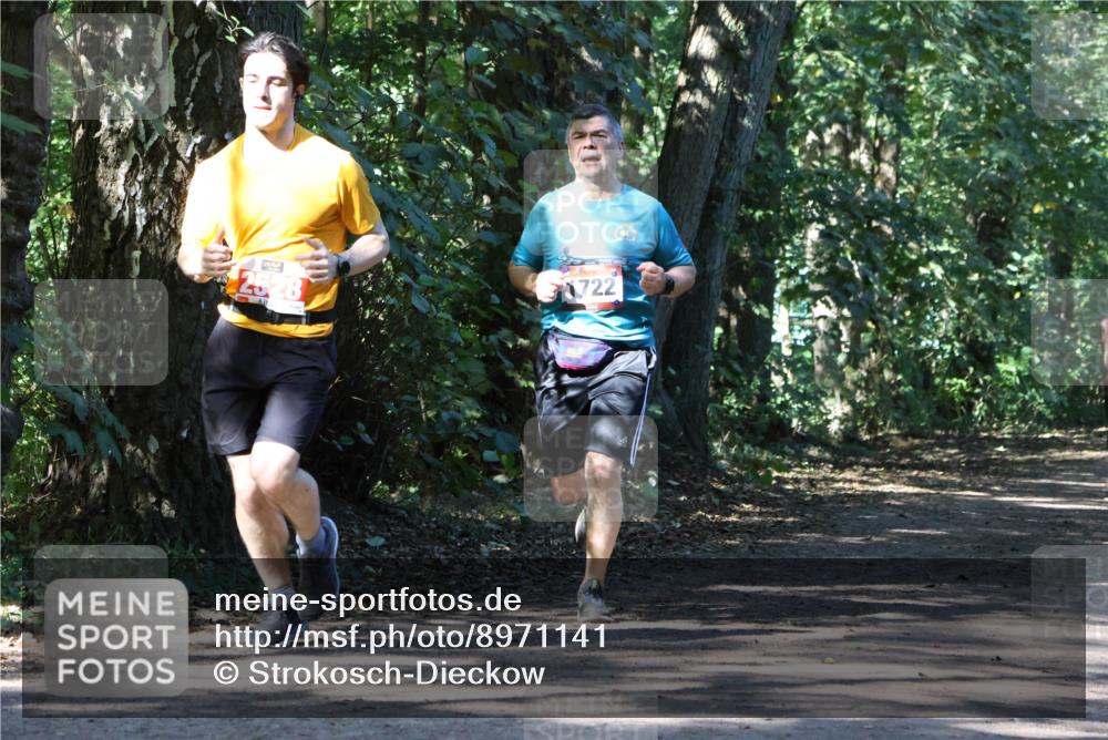 28.09.2025 - 33. Volkslauf durch das schöne Alstertal Strokosch-Dieckow http://msf.ph/oto/8971141 28.09.2025 12:08:08 Laufen 722 meine-sportfotos.de