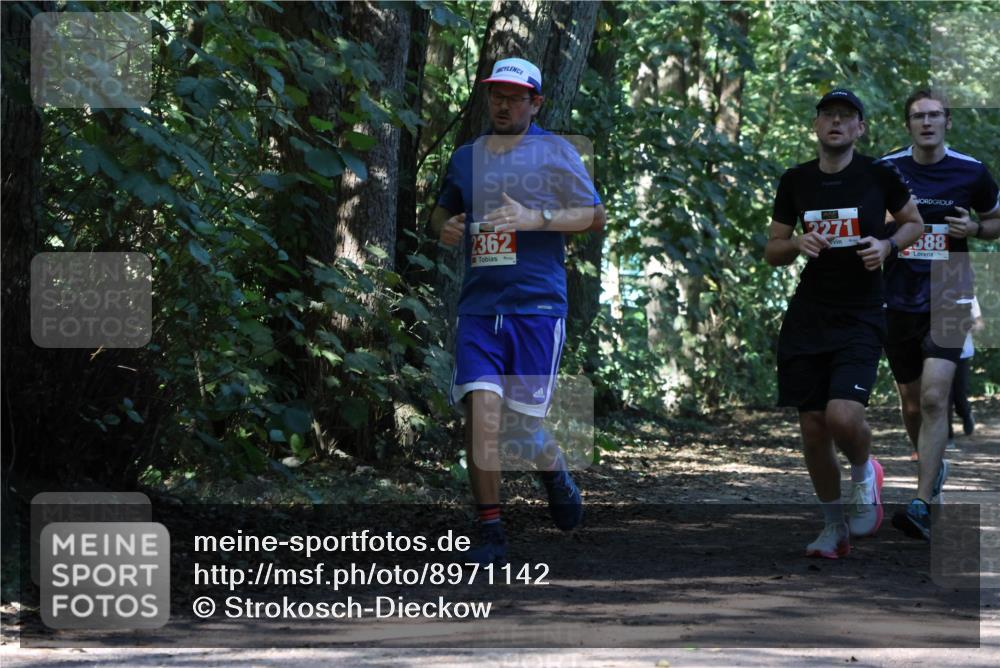 28.09.2025 - 33. Volkslauf durch das schöne Alstertal Strokosch-Dieckow http://msf.ph/oto/8971142 28.09.2025 12:08:19 Laufen 2362, 2271, 588 meine-sportfotos.de