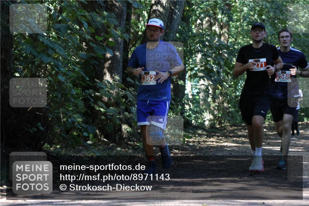 28.09.2025 - 33. Volkslauf durch das schöne Alstertal Strokosch-Dieckow http://msf.ph/oto/8971143 28.09.2025 12:08:19 Laufen 2362, 271, 2588 meine-sportfotos.de