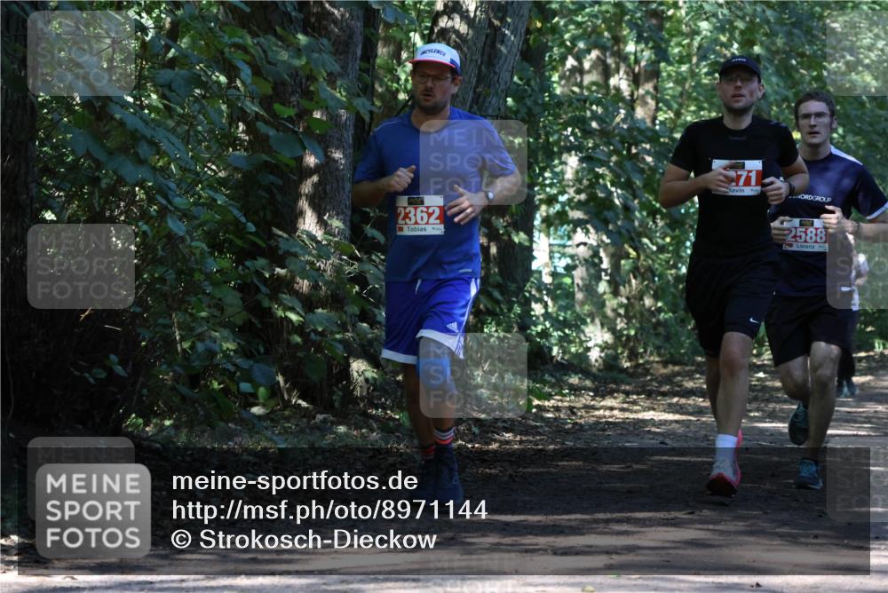 28.09.2025 - 33. Volkslauf durch das schöne Alstertal Strokosch-Dieckow http://msf.ph/oto/8971144 28.09.2025 12:08:19 Laufen 2362, 71, 2588 meine-sportfotos.de