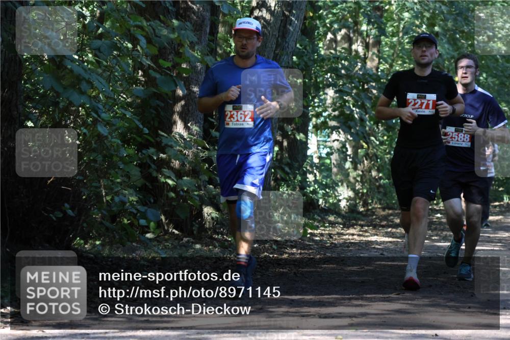 28.09.2025 - 33. Volkslauf durch das schöne Alstertal Strokosch-Dieckow http://msf.ph/oto/8971145 28.09.2025 12:08:20 Laufen 2362, 2271, 2588 meine-sportfotos.de