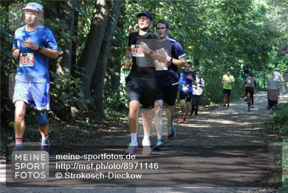 28.09.2025 - 33. Volkslauf durch das schöne Alstertal Strokosch-Dieckow http://msf.ph/oto/8971146 28.09.2025 12:08:21 Laufen 2362, 227, 2588 meine-sportfotos.de