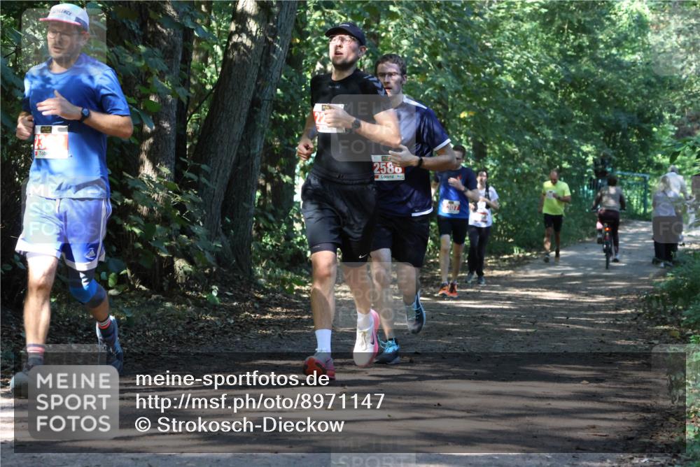 28.09.2025 - 33. Volkslauf durch das schöne Alstertal Strokosch-Dieckow http://msf.ph/oto/8971147 28.09.2025 12:08:21 Laufen 2580, 307 meine-sportfotos.de