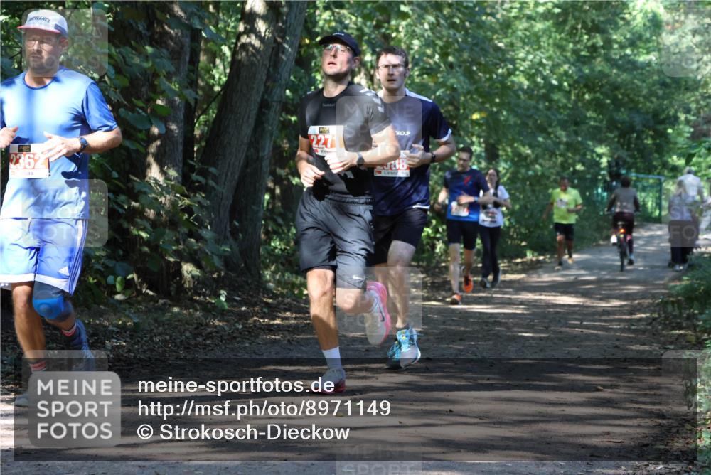 28.09.2025 - 33. Volkslauf durch das schöne Alstertal Strokosch-Dieckow http://msf.ph/oto/8971149 28.09.2025 12:08:21 Laufen 2362, 2271, 88 meine-sportfotos.de