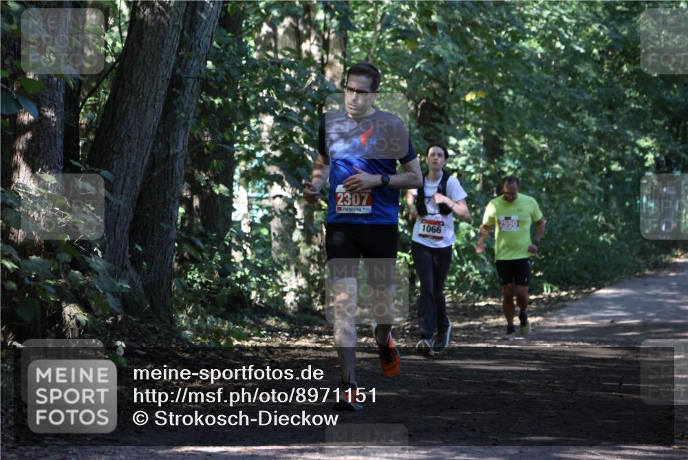 28.09.2025 - 33. Volkslauf durch das schöne Alstertal Strokosch-Dieckow http://msf.ph/oto/8971151 28.09.2025 12:08:24 Laufen 2307, 1066, 2550 meine-sportfotos.de