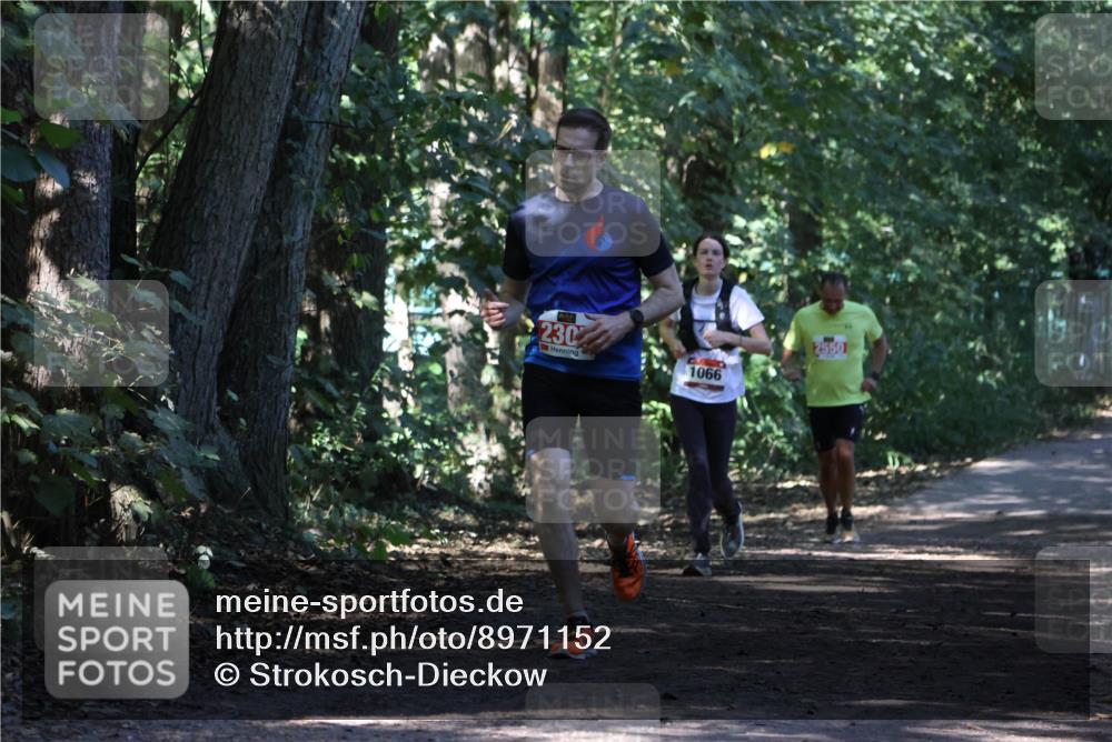 28.09.2025 - 33. Volkslauf durch das schöne Alstertal Strokosch-Dieckow http://msf.ph/oto/8971152 28.09.2025 12:08:24 Laufen 230, 1066, 2550 meine-sportfotos.de