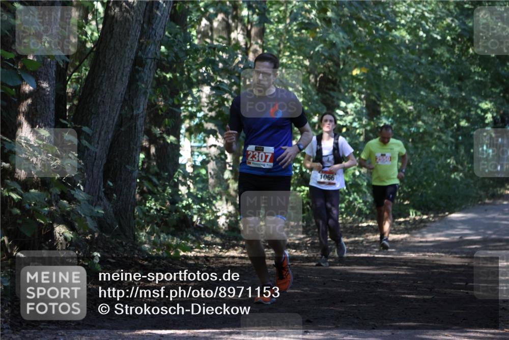 28.09.2025 - 33. Volkslauf durch das schöne Alstertal Strokosch-Dieckow http://msf.ph/oto/8971153 28.09.2025 12:08:25 Laufen 2307, 1066 meine-sportfotos.de
