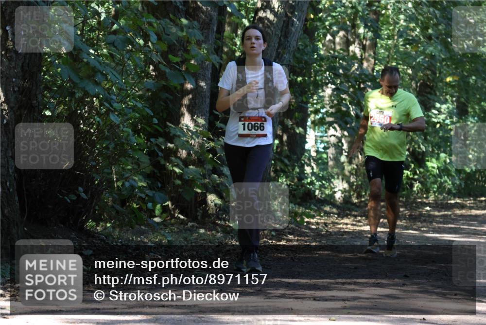28.09.2025 - 33. Volkslauf durch das schöne Alstertal Strokosch-Dieckow http://msf.ph/oto/8971157 28.09.2025 12:08:31 Laufen 1066, 2550 meine-sportfotos.de