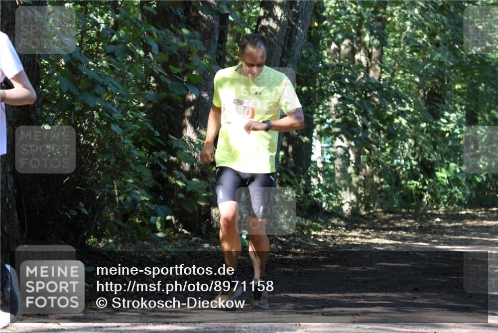 28.09.2025 - 33. Volkslauf durch das schöne Alstertal Strokosch-Dieckow http://msf.ph/oto/8971158 28.09.2025 12:08:33 Laufen 550 meine-sportfotos.de