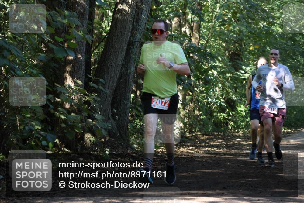 28.09.2025 - 33. Volkslauf durch das schöne Alstertal Strokosch-Dieckow http://msf.ph/oto/8971161 28.09.2025 12:08:48 Laufen 2072, 2019 meine-sportfotos.de