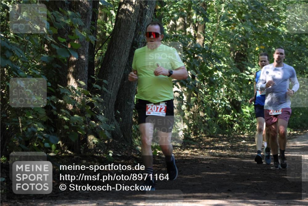 28.09.2025 - 33. Volkslauf durch das schöne Alstertal Strokosch-Dieckow http://msf.ph/oto/8971164 28.09.2025 12:08:48 Laufen 2072 meine-sportfotos.de