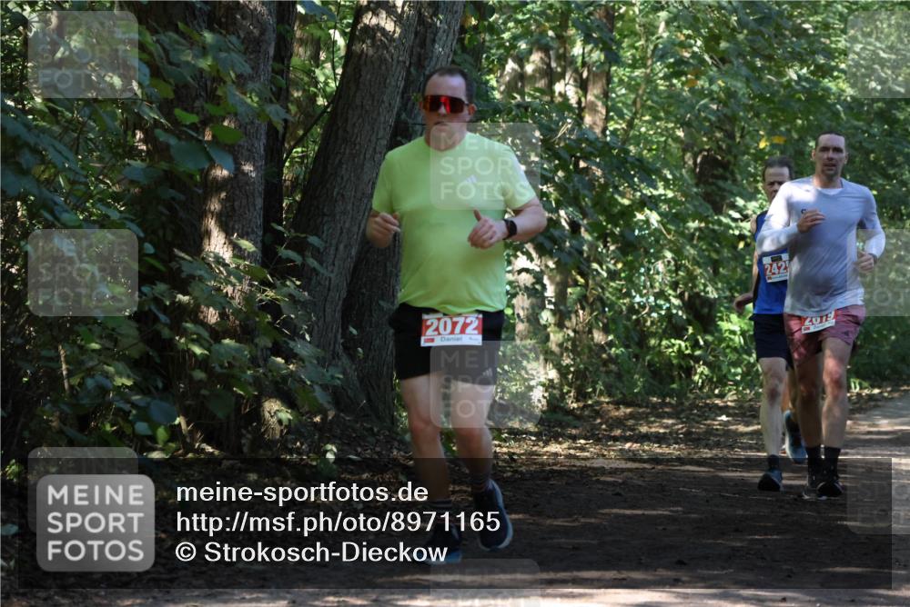 28.09.2025 - 33. Volkslauf durch das schöne Alstertal Strokosch-Dieckow http://msf.ph/oto/8971165 28.09.2025 12:08:49 Laufen 2072, 242, 2019 meine-sportfotos.de